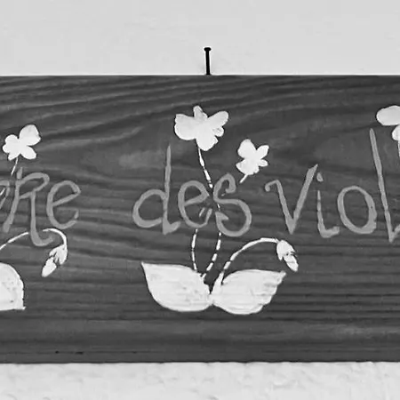 Apartament Maison Des Fleurs - Mont Blanc *